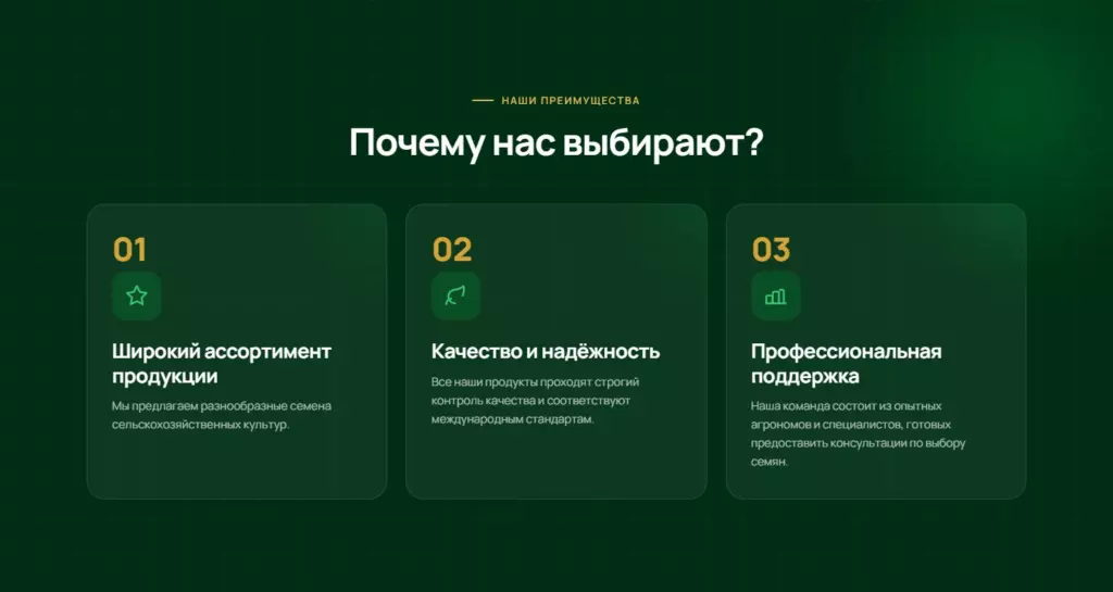 Блок «Почему нас выбирают»