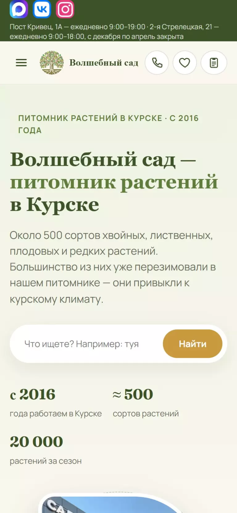 Волшебный сад — мобильная версия